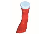 Πρότυπη κλινική προσομοίωση οιδημάτων διάβρωσης ποδιών PVC για την κατάρτιση περιποίησης