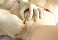 Προηγμένο πλήρους λειτουργίας PVC που περιποιείται το πλήρες ανδρείκελο κατάρτισης σώματος ηλικιωμένο θηλυκό