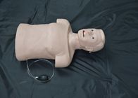 Ενήλικα μισά Intubation CPR πρώτος σώματος ανδρείκελα βοηθειών