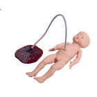 SGS προσομοιωτής γέννησης μωρών κατάρτισης PVC με το καλωδιακό σκοινί