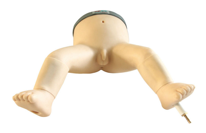 Λουξ νήπιο με τα πόδια μωρών για την κατάρτιση οπής μυελών των οστών, προσομοίωση μωρών