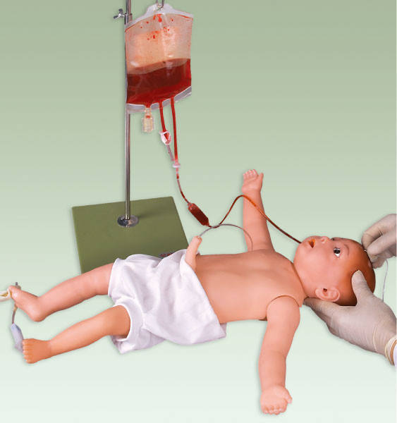 Παιδιατρικά ανδρείκελο προσομοίωσης/πρότυπο εγχύσεων μωρών με τα φλεβικά αιμοφόρα αγγεία και το δέρμα