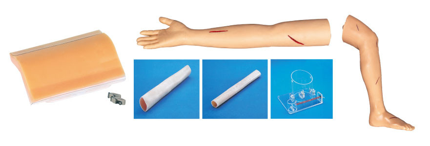 Ενήλικο πόδι συρραφών και χειρουργικά πρότυπα κατάρτισης εξαρτήσεων βραχιόνων για την εκπαίδευση σπουδαστών