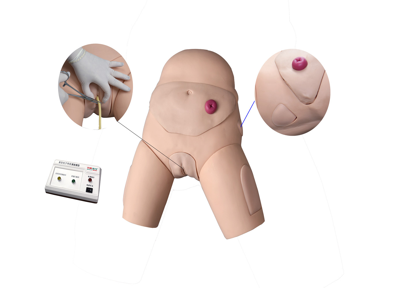 Ηλεκτρονικός Urethral προσομοιωτής καθετηριασμού και κατάρτισης Enema