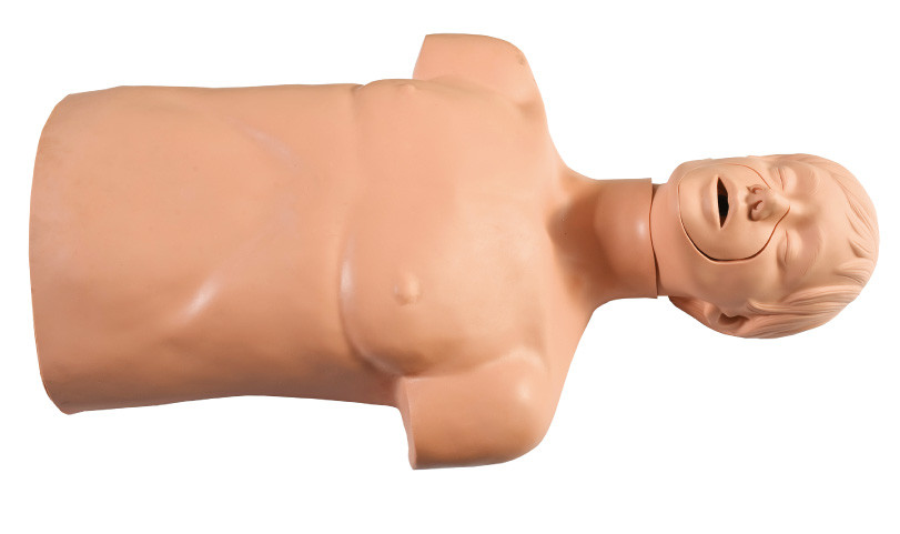 PVC προστασίας του περιβάλλοντος μισό - ανδρείκελα πρώτων βοηθειών σώματος για την άσκηση λειτουργίας CPR