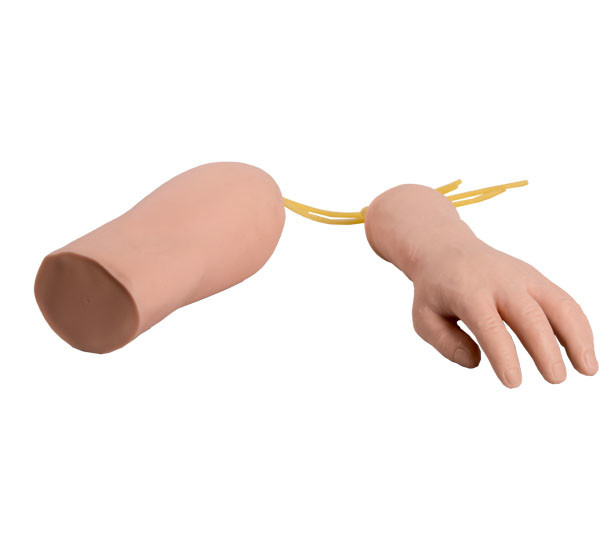 Ανδρείκελο περιποίησης αγκώνων χεριών PVC για την ενήλικη κατάρτιση