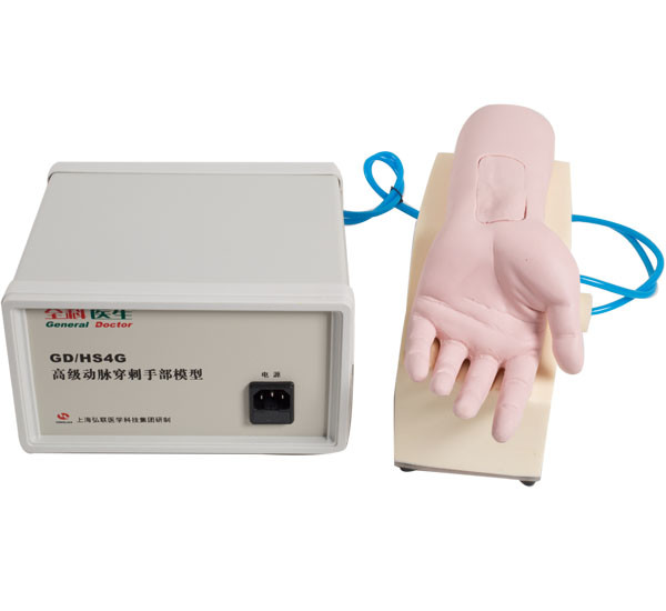 Ανδρείκελο περιποίησης χεριών οπής αρτηριών PVC για την ιατρική εκμάθηση