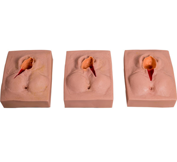 Προσομοιωτής γέννησης παιδιών ραψίματος PVC Vulva για τη σχολική κατάρτιση