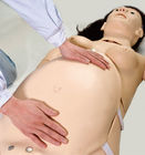 Να διδάξει προσομοιωτή γέννησης παιδιών PVC κατάρτισης το μητρικό Neonatal