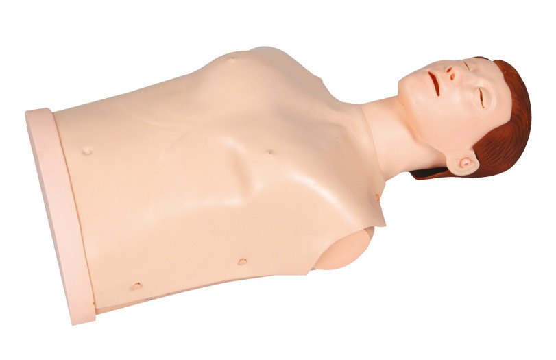 Απλά ανδρείκελα πρώτων βοηθειών τύπων με τις άκρες ηχητικών σημάτων, μισές - ομοιώματα κατάρτισης σώματος CPR