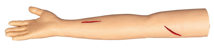 Χειρουργικά πρότυπα κατάρτισης βραχιόνων συρραφών για την κοπή και το ράψιμο στο colleage, νοσοκομείο