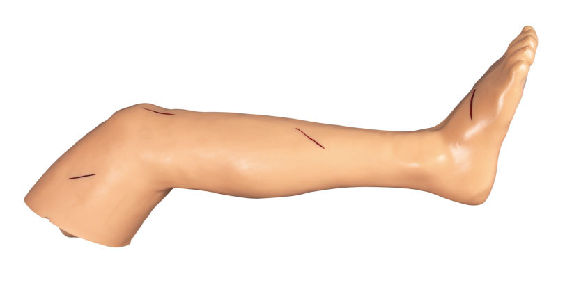 Χειρουργικές δεξιότητες ποδιών συρραφών που εκπαιδεύουν την κοπή και που ράβουν την κούκλα κατάρτισης