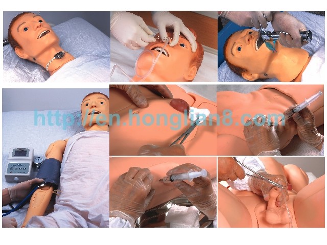 Προηγμένο ενήλικο νοσοκόμος πλήρης-σώματος και πρότυπο CPR με τον καρωτιδικό σφυγμό αρτηριών