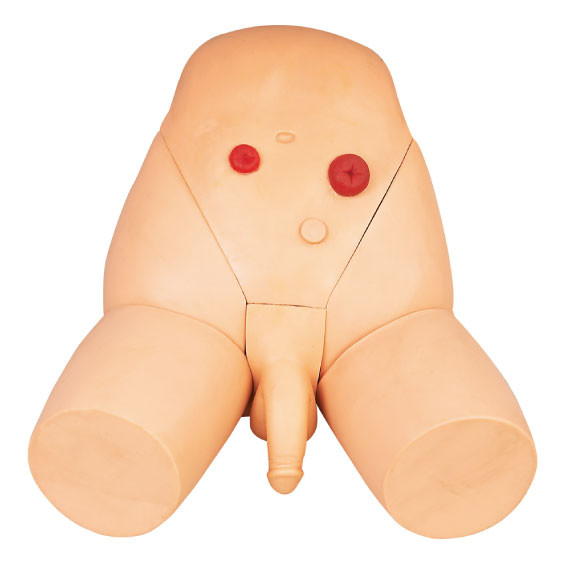 Προηγμένο cOem αρσενικό Urethral ανδρείκελο περιποίησης προσομοιωτών καθετηριασμού για την κατάρτιση