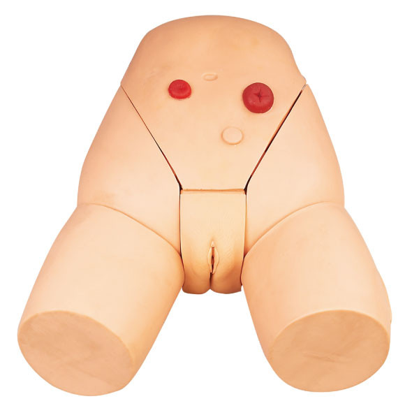 Προηγμένο ανδρείκελο περιποίησης, θηλυκός Urethral προσομοιωτής καθετηριασμού για την κατάρτιση