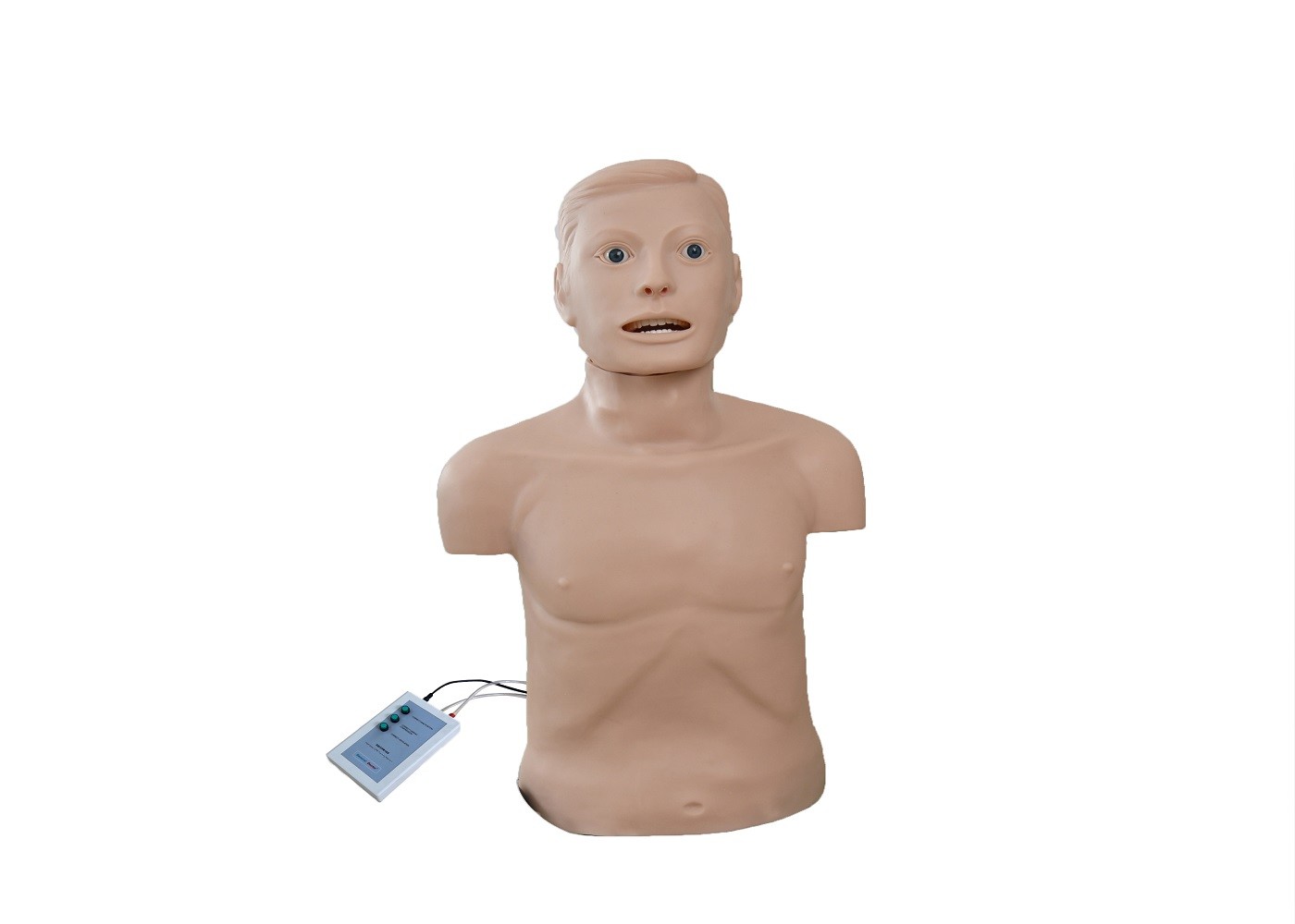 Ενήλικα μισά Intubation CPR πρώτος σώματος ανδρείκελα βοηθειών
