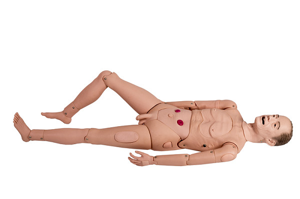 Ιατρικό αρσενικό γηριατρικό ανδρείκελο εργαστηριακού πλήρες σώματος κολάζ