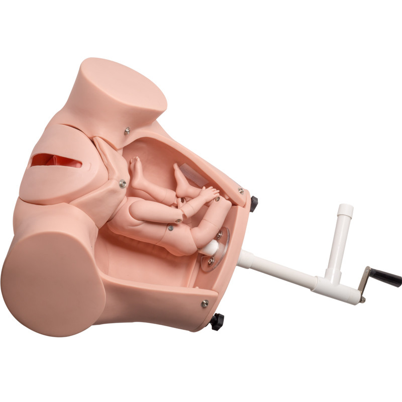 SGS προσομοιωτής γέννησης μωρών κατάρτισης PVC με το καλωδιακό σκοινί