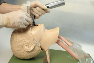 Ρεαλιστική ανατομική δομή με το στόμα των παιδιών, φάρυγγας, Tracheafor για Intubation την κατάρτιση