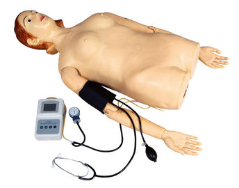 Θηλυκό μισό - προσομοιωτής ψηλάφισης σώματος με τη μέτρηση πίεσης του αίματος για το σχολείο, νοσοκομείο